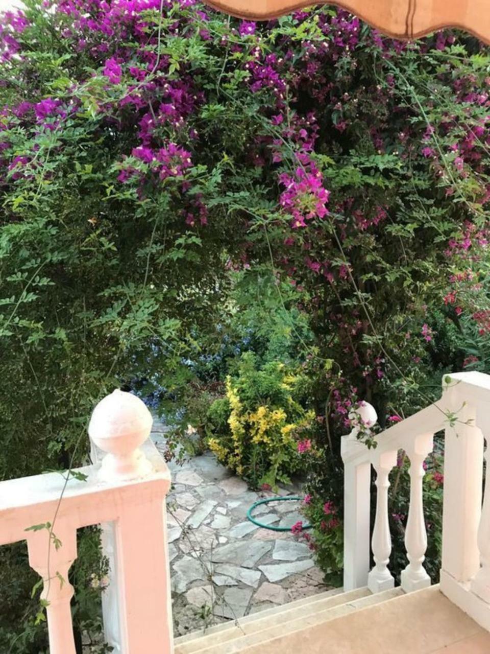 阿里克斯2 Bed House With Mountain View公寓 外观 照片