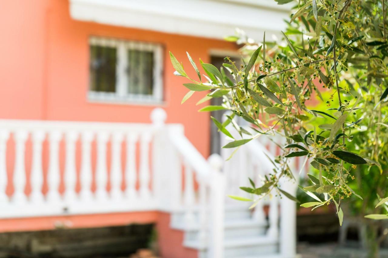 阿里克斯2 Bed House With Mountain View公寓 外观 照片